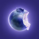 The Berry: Food Scan Longevity